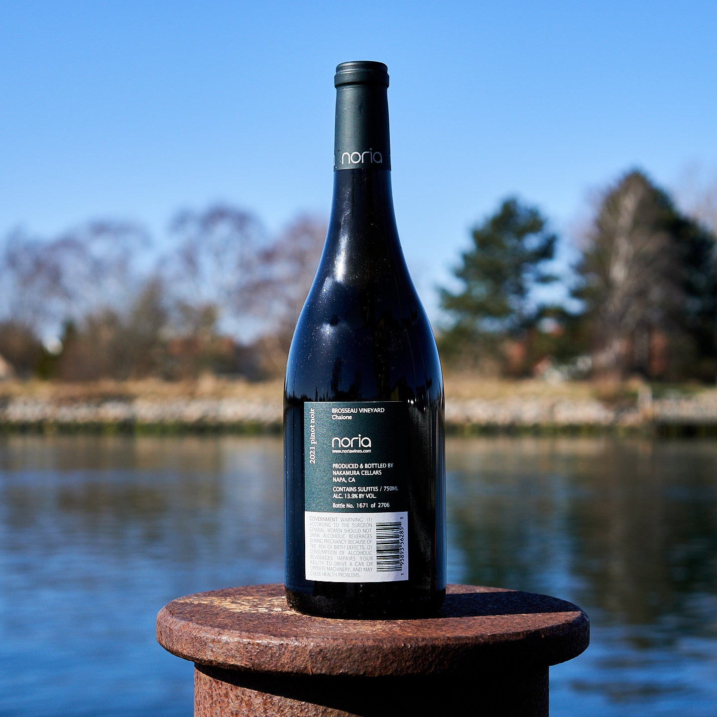 2021 Pinot Noir 'Brosseau Vineyard'