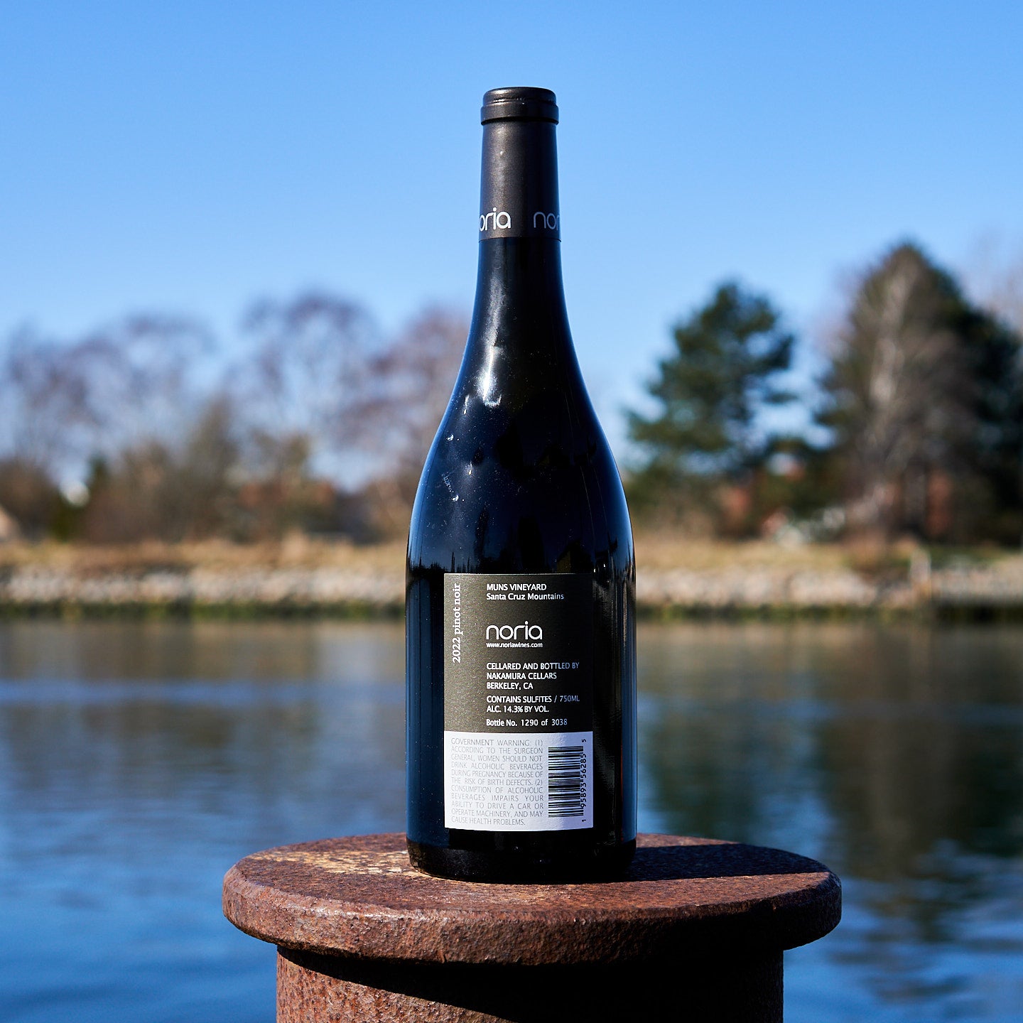 2022 Pinot Noir 'Muns Vineyard'