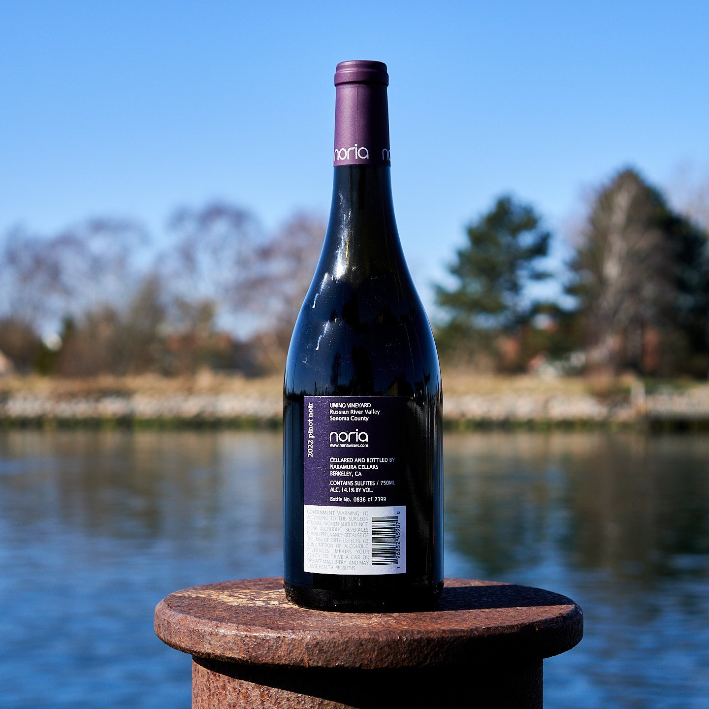 2022 Pinot Noir 'Umino Vineyard'