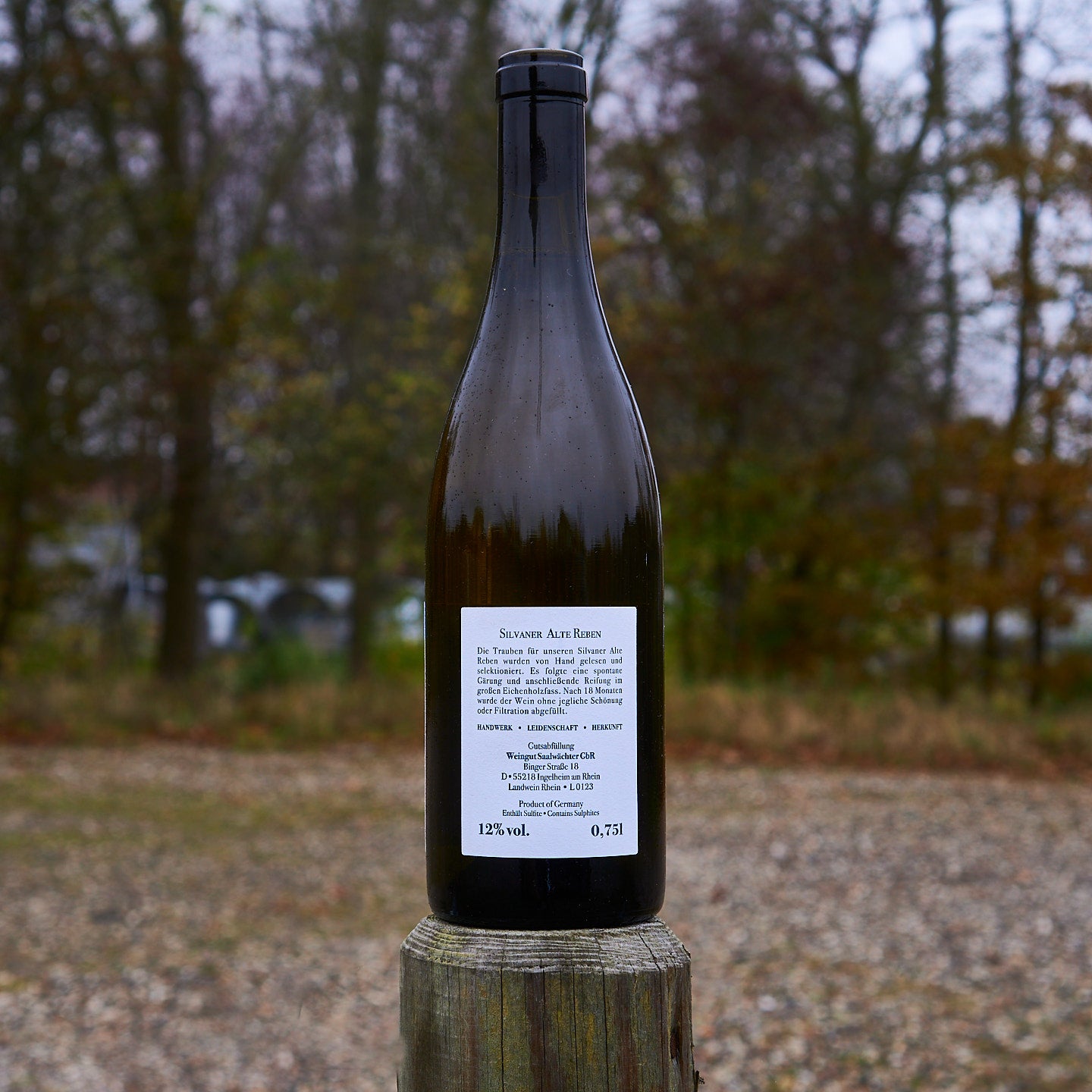 2023 Silvaner Alte Reben