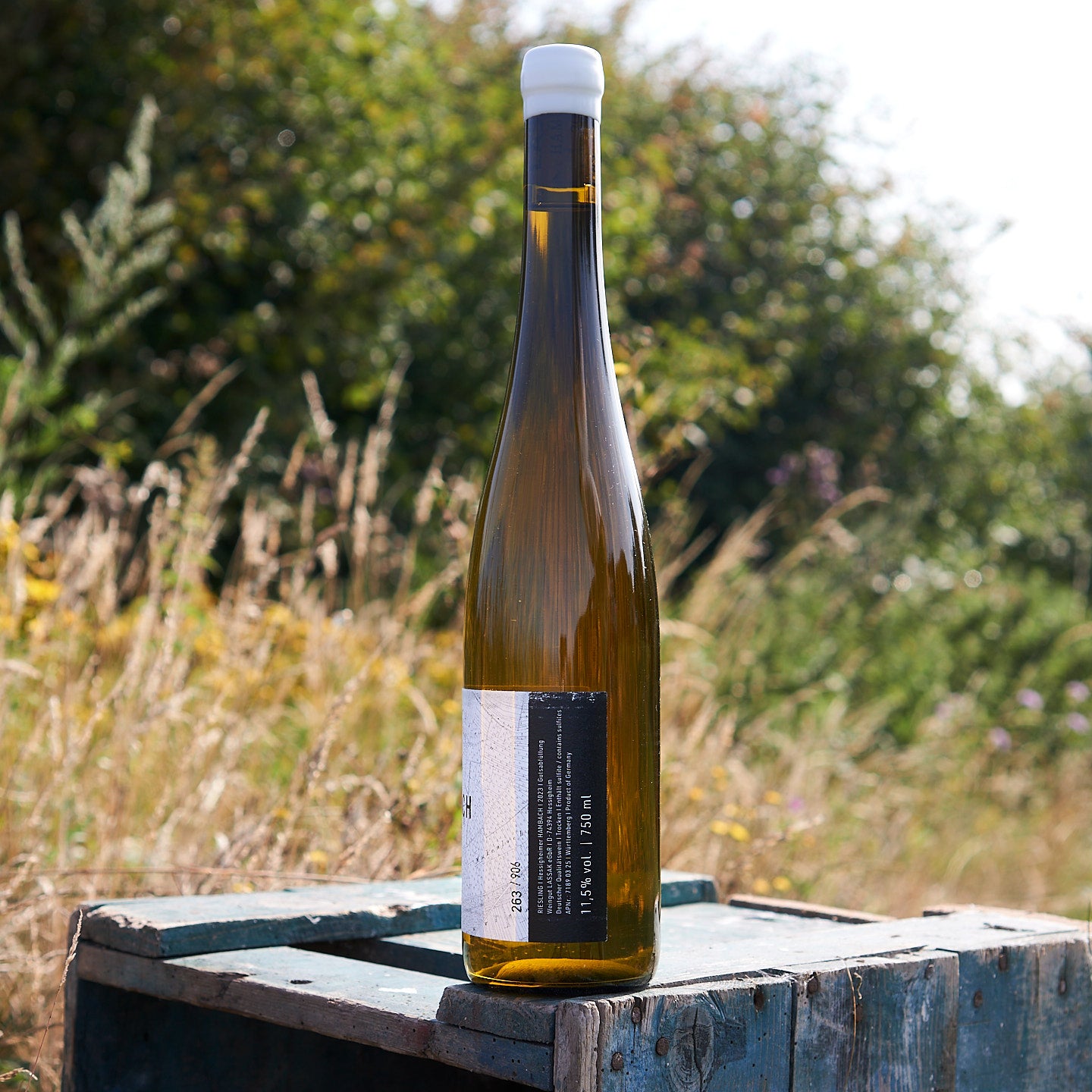 2023 Hambach Riesling