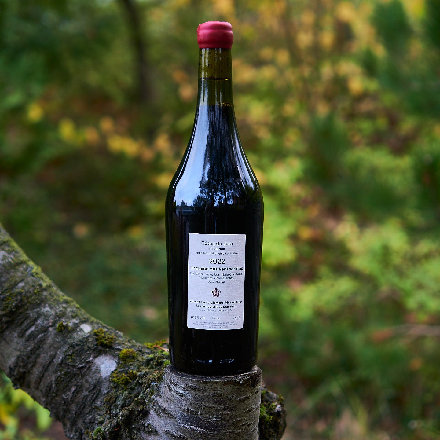 2022 Pinot Noir