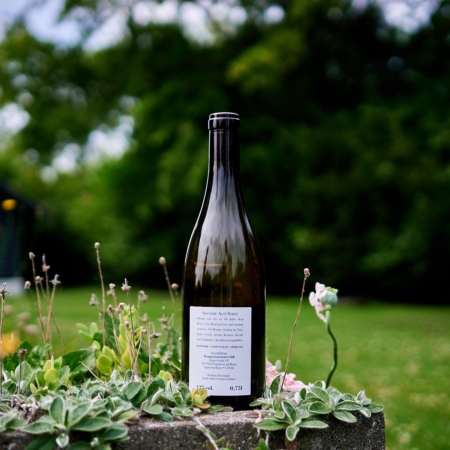 2022 Silvaner Alte Reben
