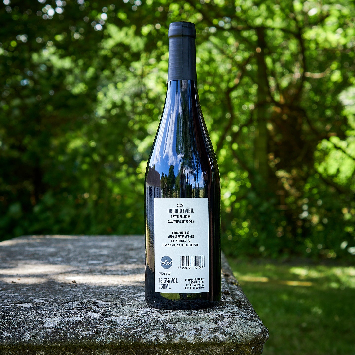 2023 Oberrotweil Spätburgunder