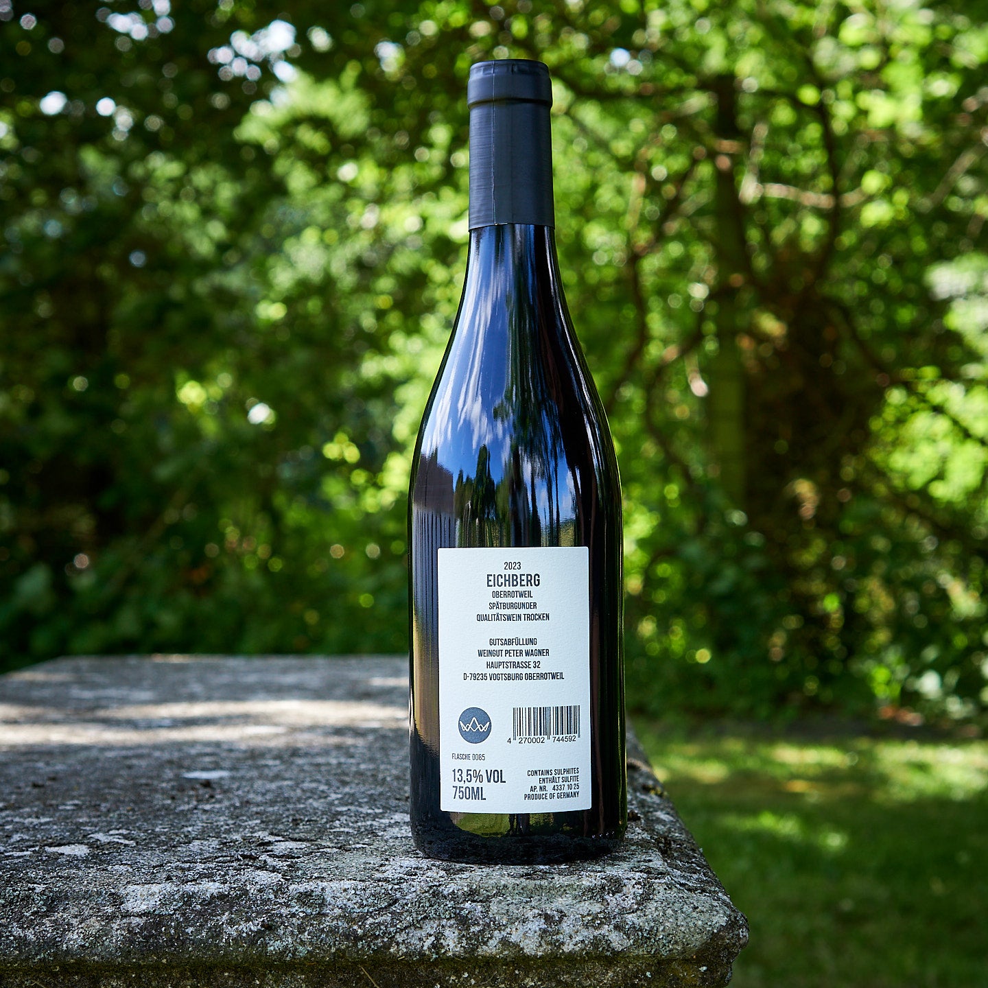 2023 Eichberg Spätburgunder