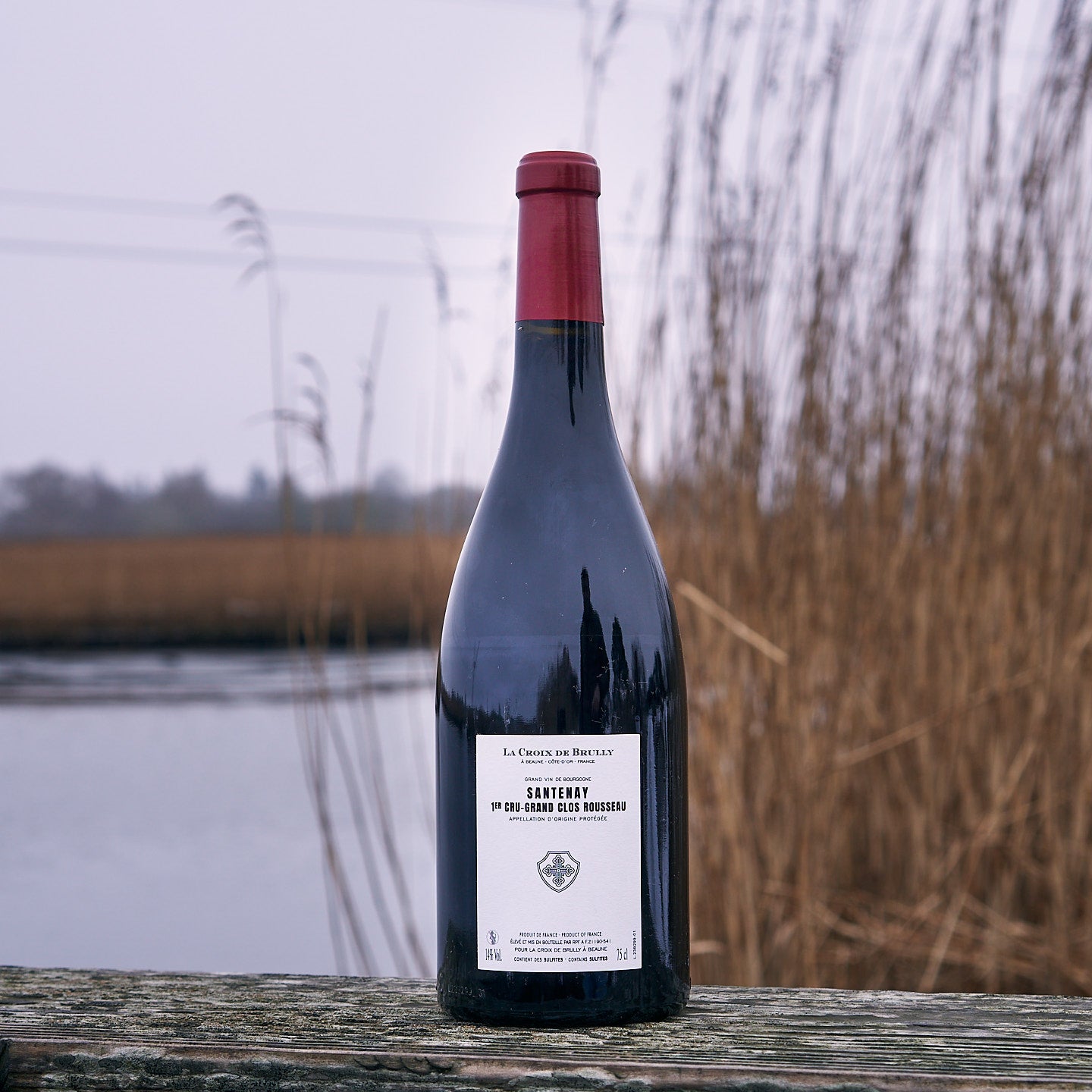 2023 Santenay 1er Cru 'Grand Clos Rousseau'