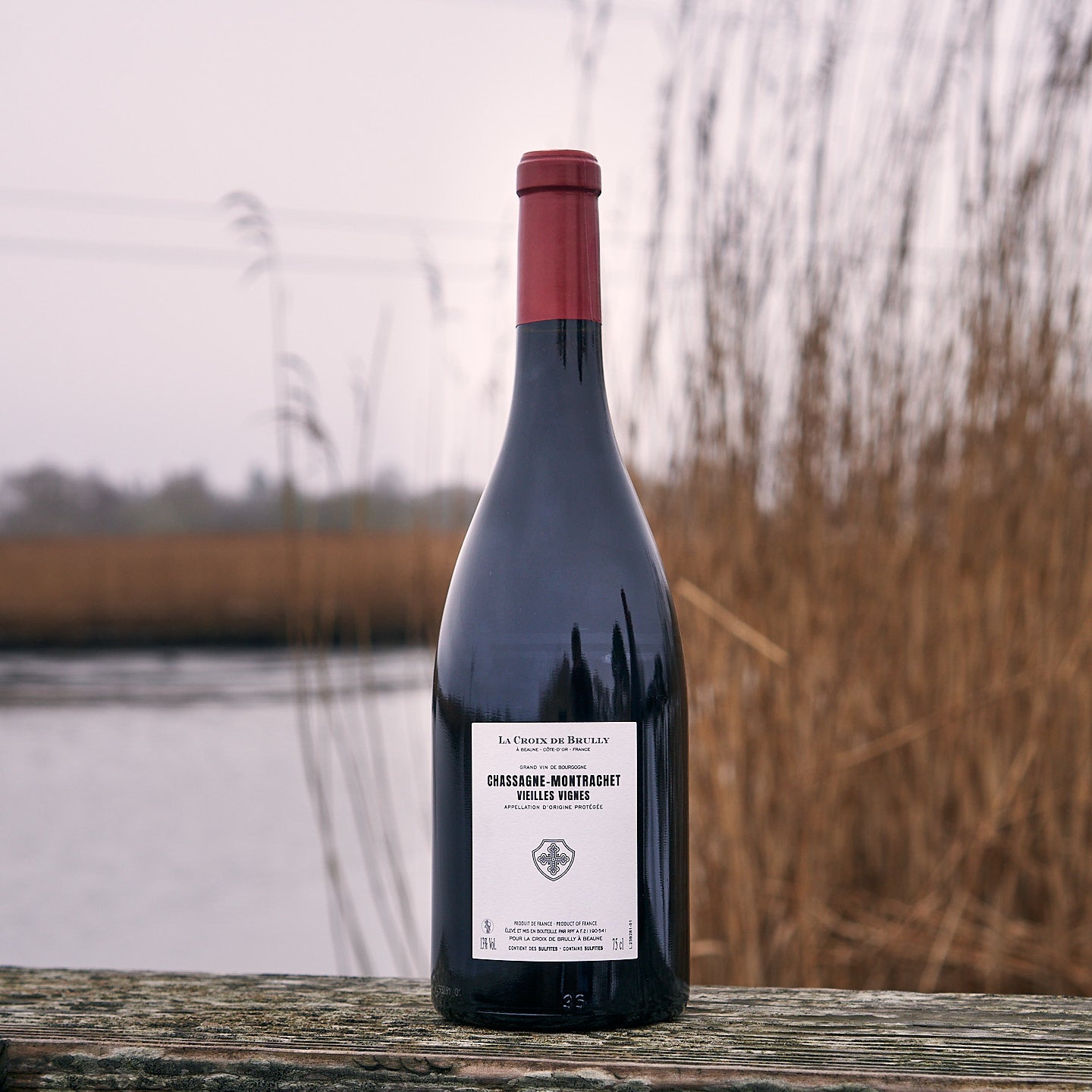 2023 Chassagne-Montrachet 'Vieilles Vignes'