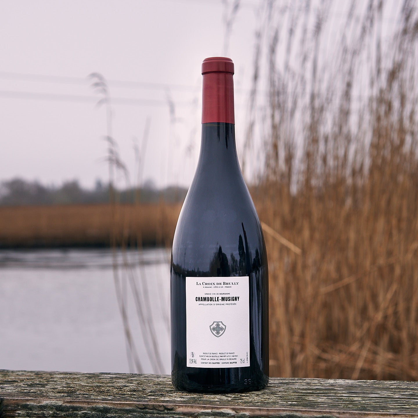 2023 Chambolle-Musigny