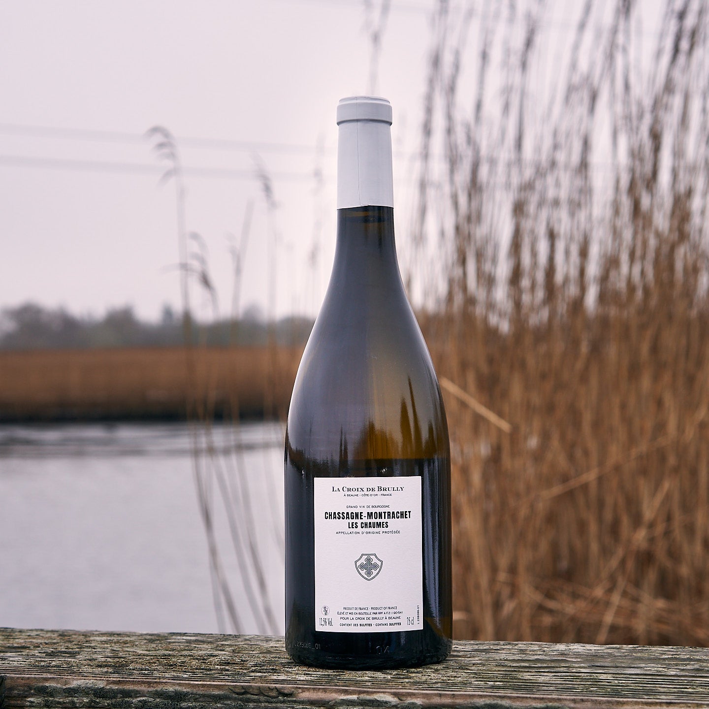 2023 Chassagne-Montrachet 'Les Chaumes'