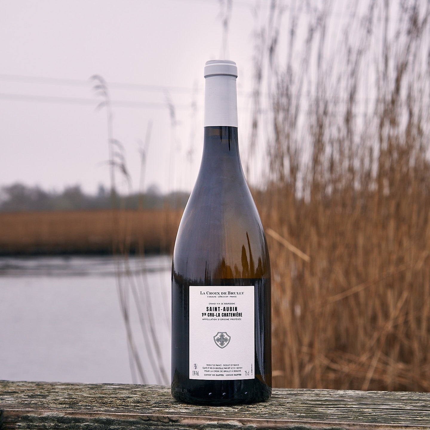 2023 Saint-Aubin 1er Cru 'La Chatenière'