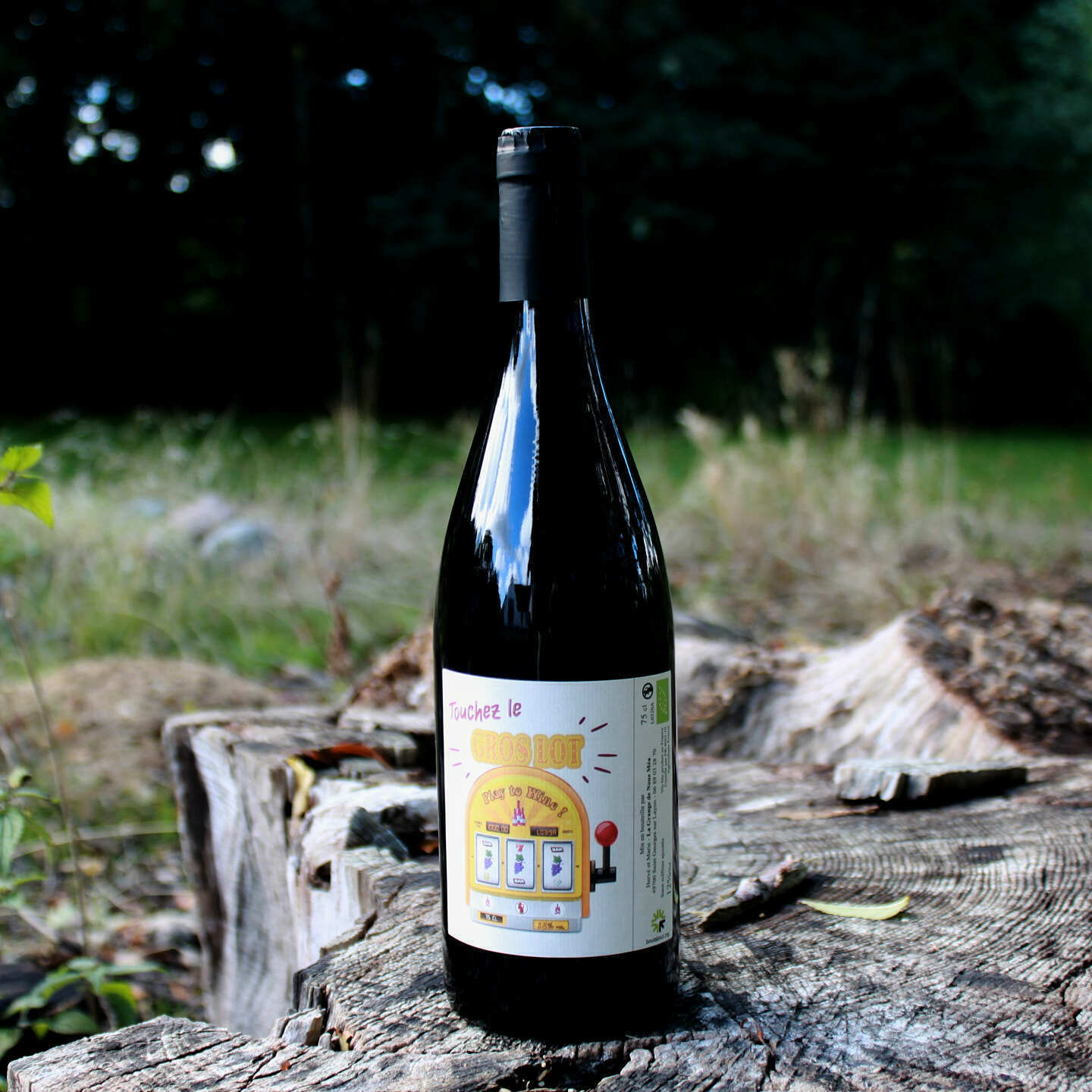 2020 Touchez le Grolleau - La Grange de Noue Méa