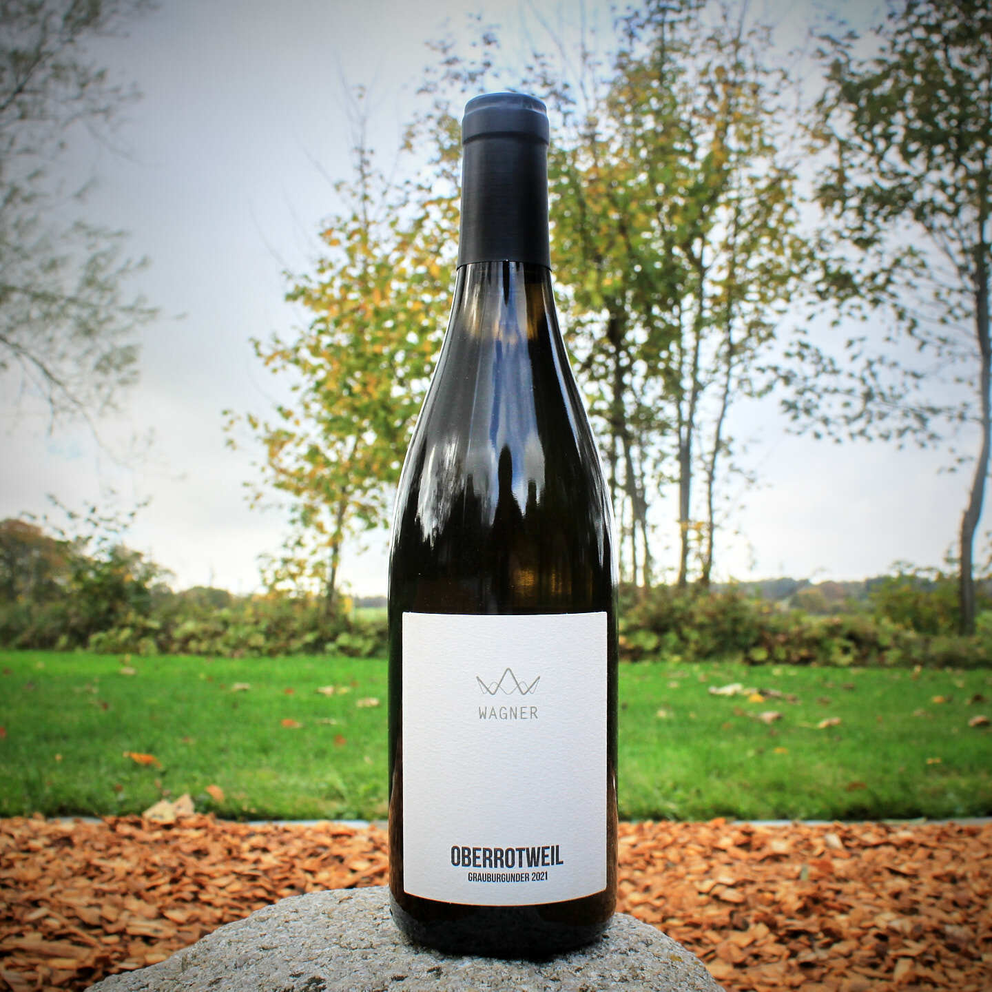 2021 Oberrotweil Grauburgunder - Peter Wagner