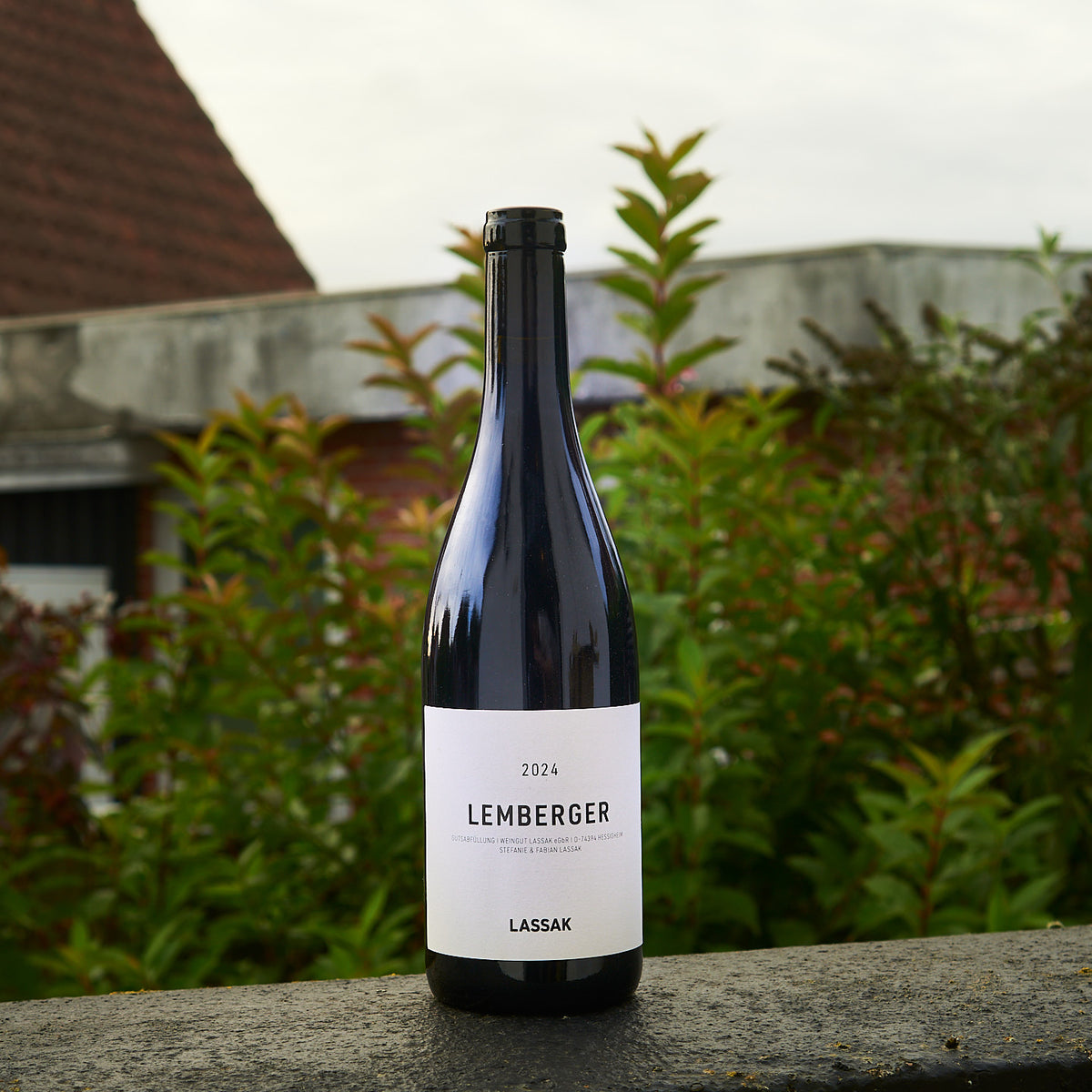 2024 Lemberger - Weingut Lassak