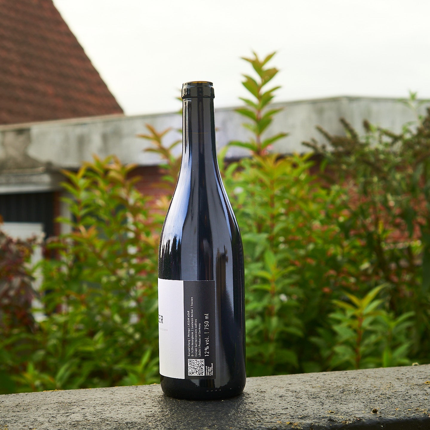 2024 Lemberger - Weingut Lassak