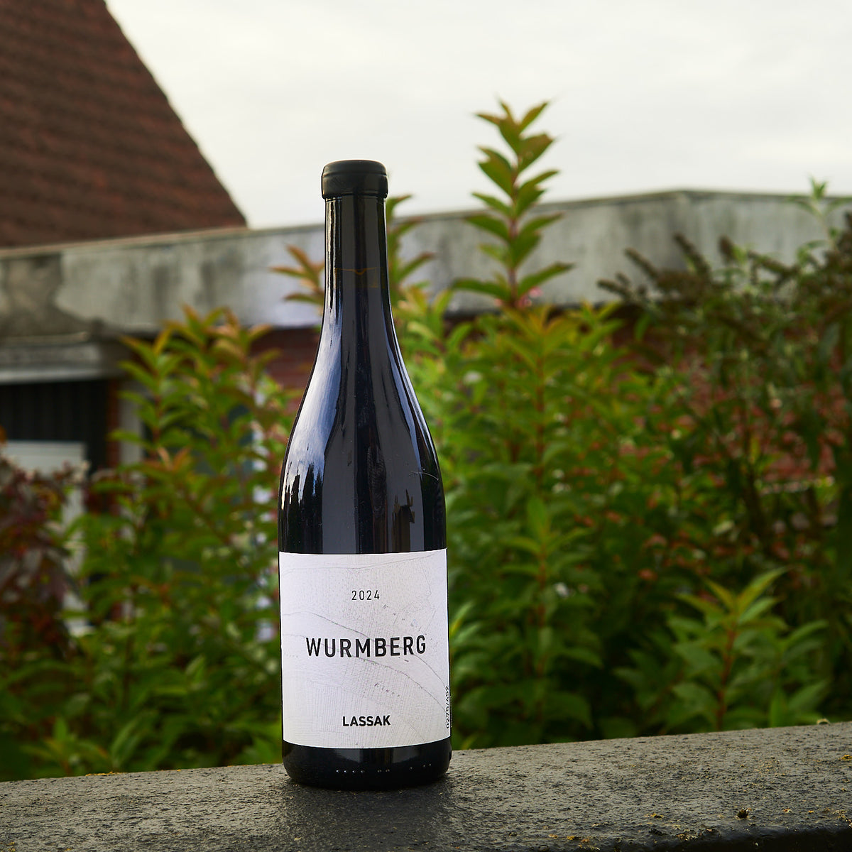 2024 Lemberger "Wurmberg" - Weingut Lassak