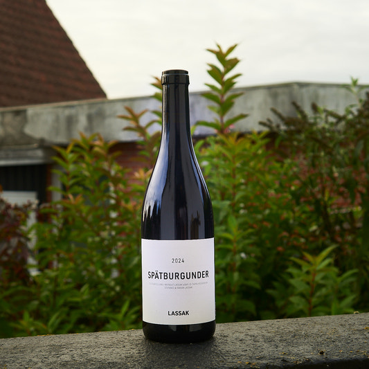2024 Spätburgunder - Weingut Lassak