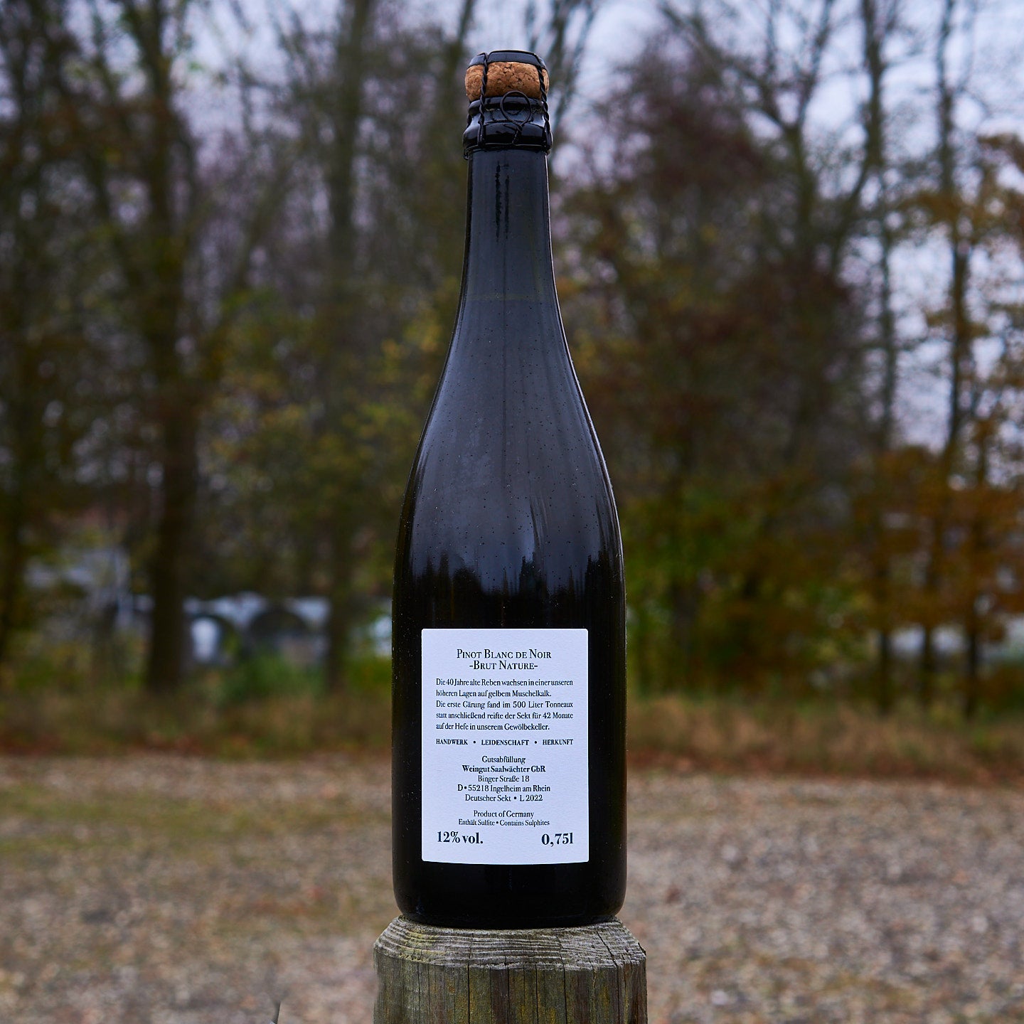 2020 Sekt Pinot Blanc de Noirs