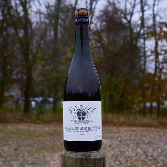 2020 Sekt Pinot Blanc de Noirs