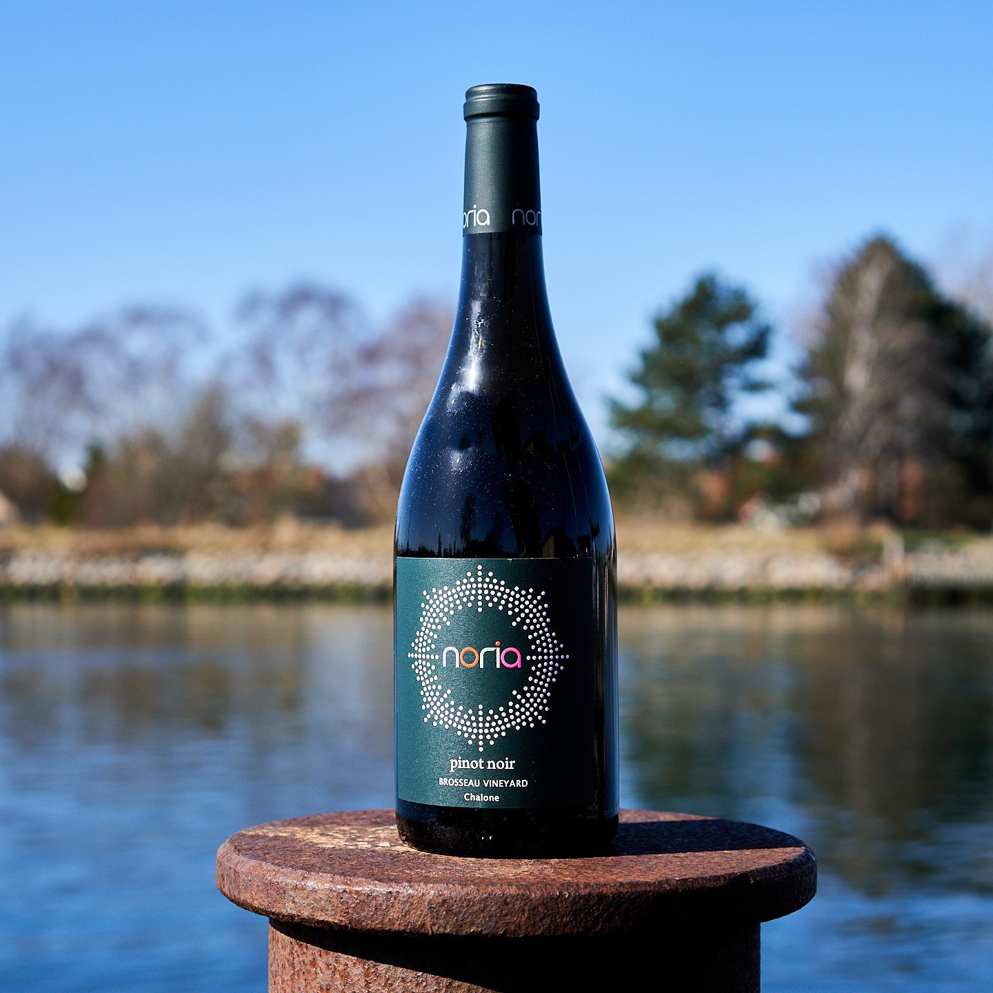 2021 Pinot Noir 'Brosseau Vineyard'