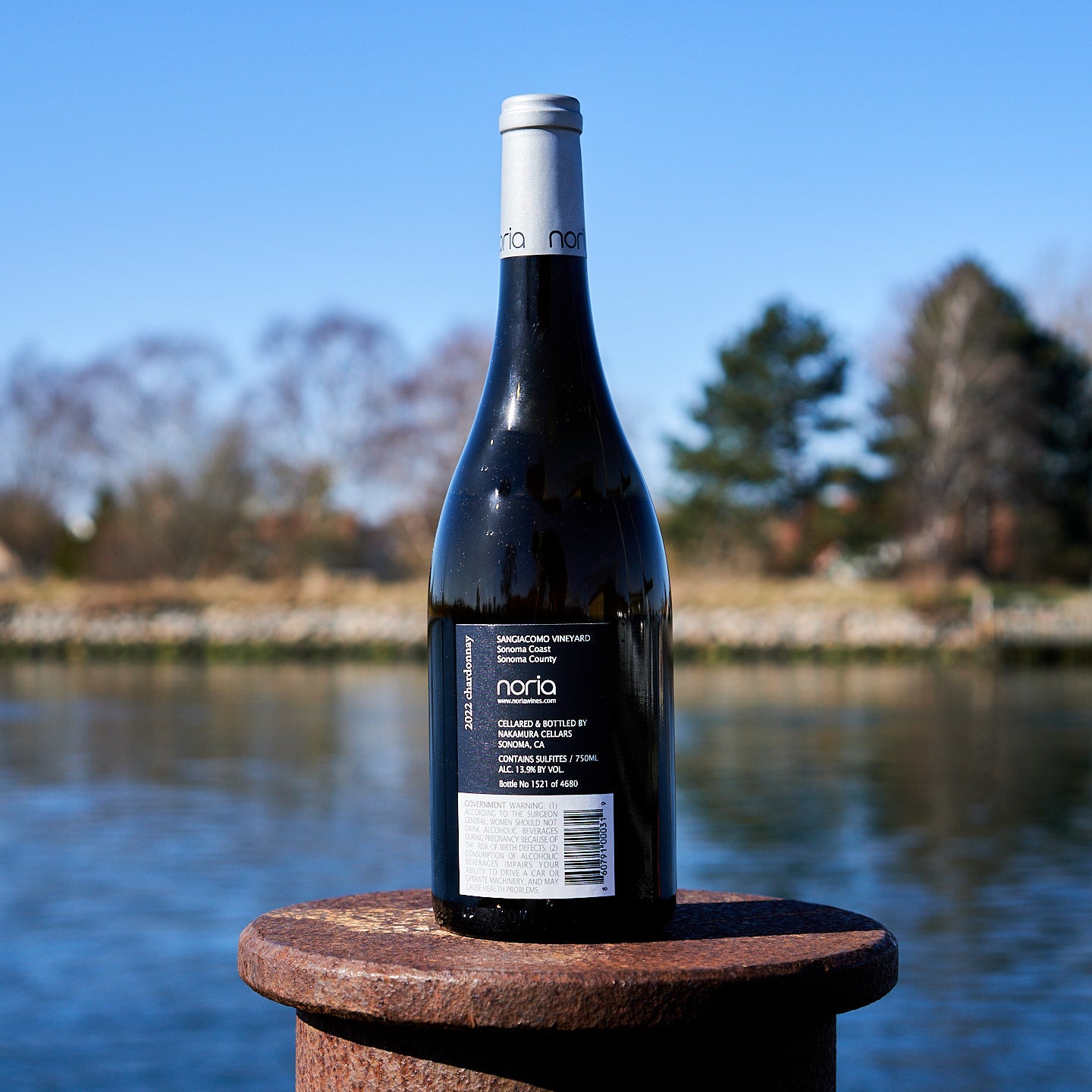 2022 Chardonnay 'Sangiacomo Vineyard'