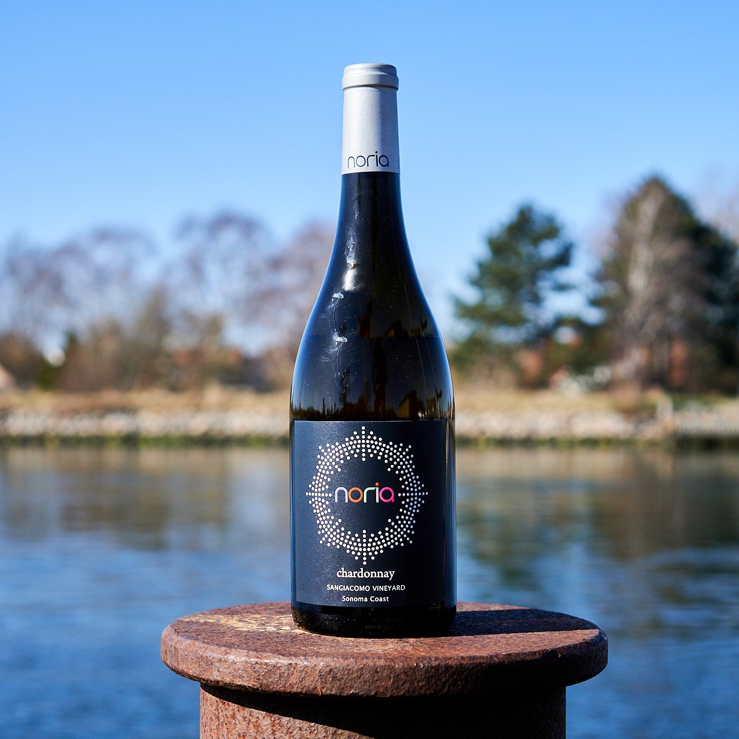 2022 Chardonnay 'Sangiacomo Vineyard'