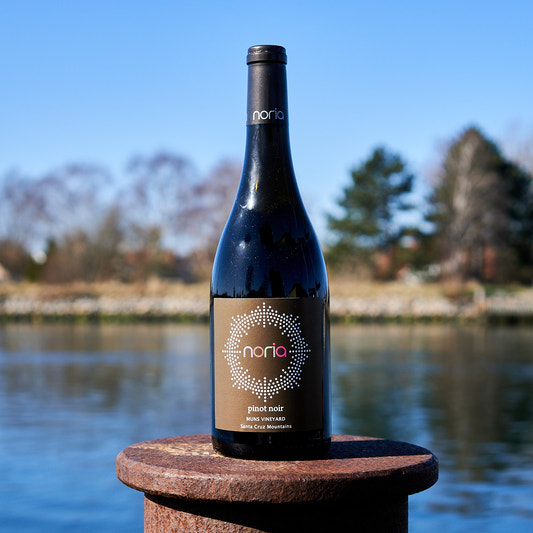 2022 Pinot Noir 'Muns Vineyard'