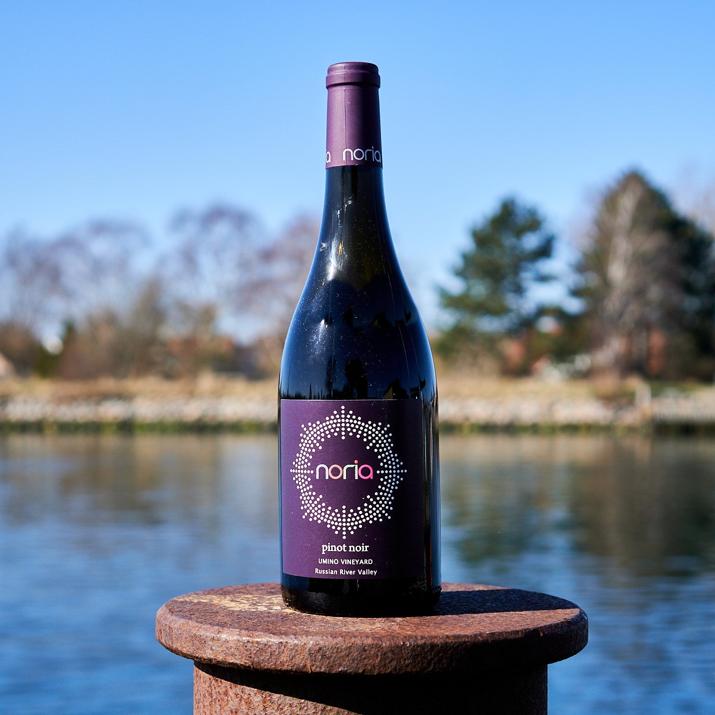 2022 Pinot Noir 'Umino Vineyard'