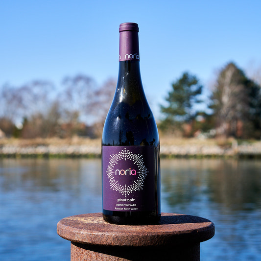 2022 Pinot Noir 'Umino Vineyard'
