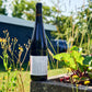 2023 Cuvée Rot