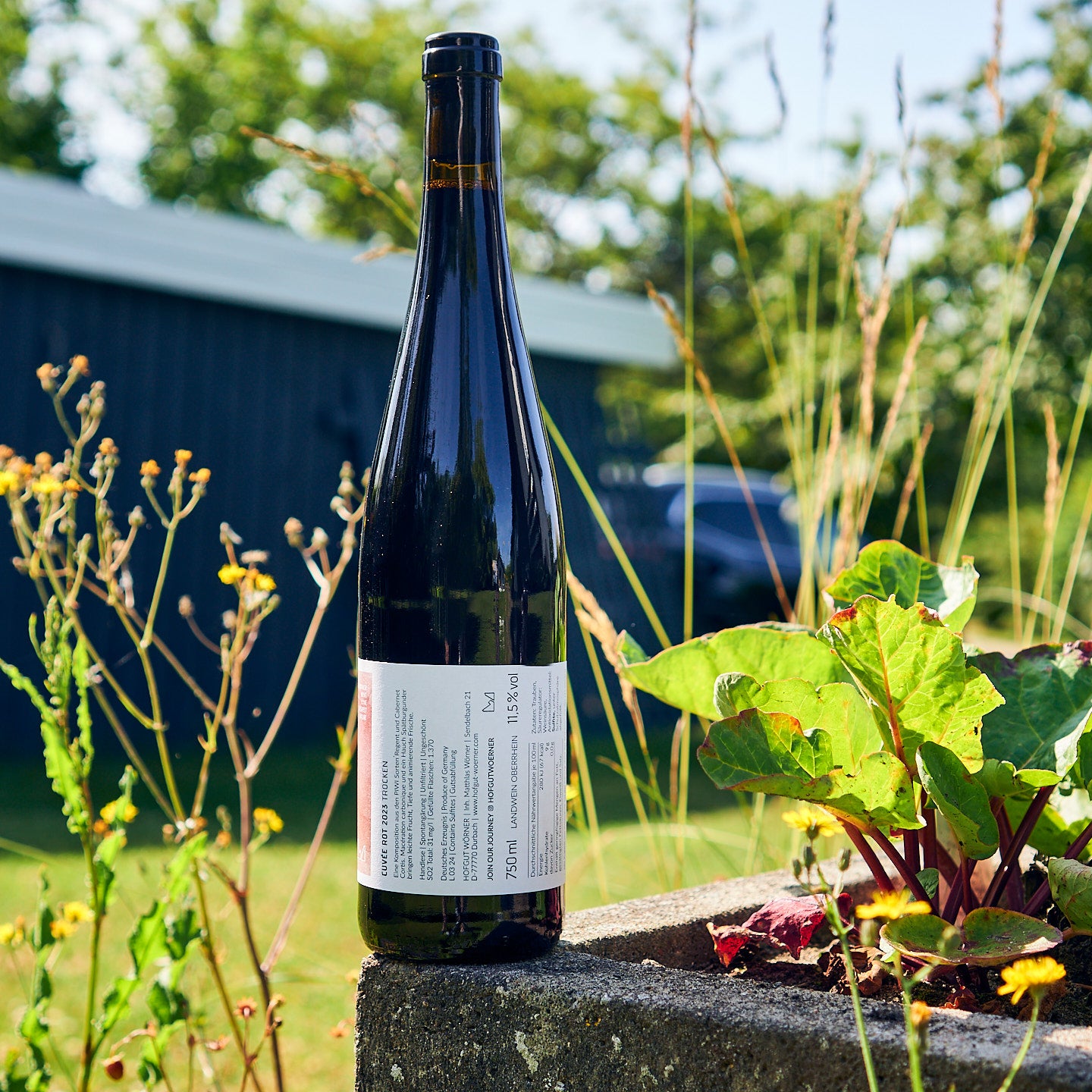 2023 Cuvée Rot