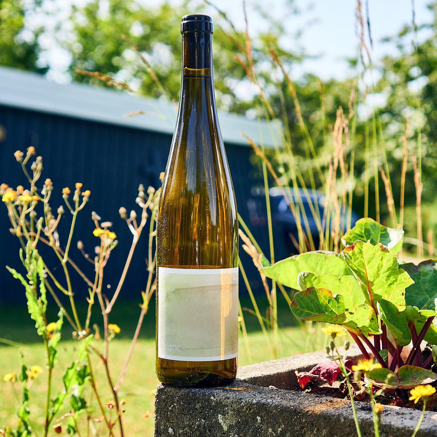 2023 Cuvée Weiss
