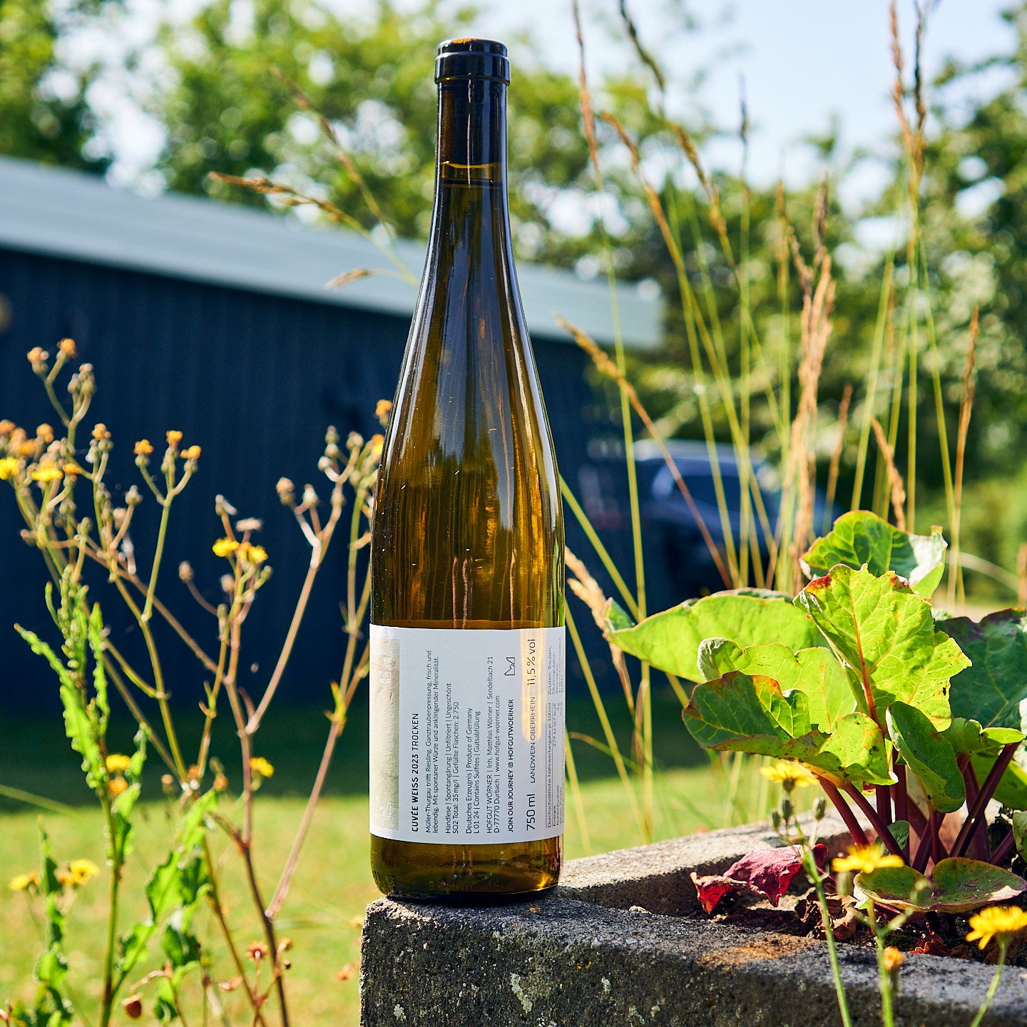 2023 Cuvée Weiss