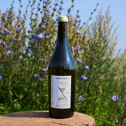 2023 Chardonnay 'La Marcette'