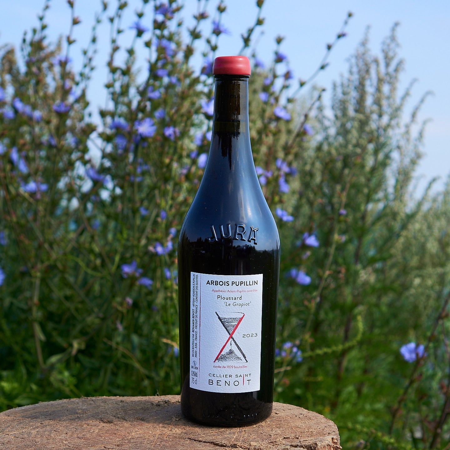 2023 Ploussard 'Le Grapiot'