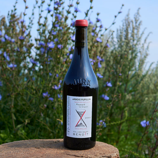 2023 Ploussard 'Le Grapiot'