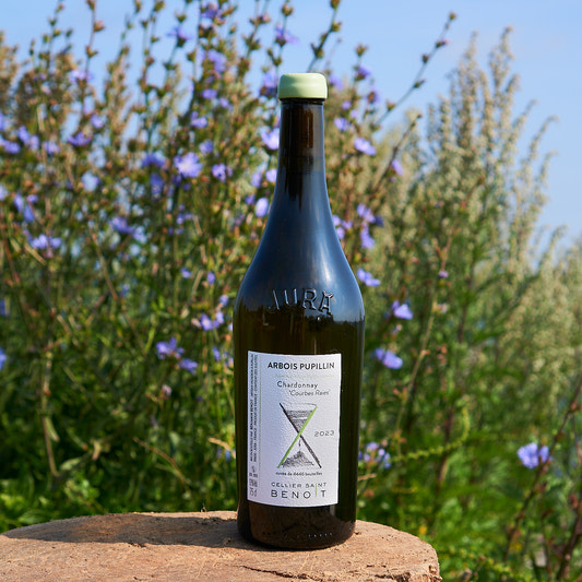 2023 Chardonnay 'Courbes Raies'