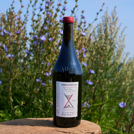 2023 Pinot Noir 'Courbes Raies'