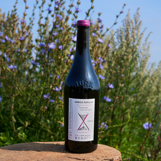 2023 Trousseau 'Côte de Feule'