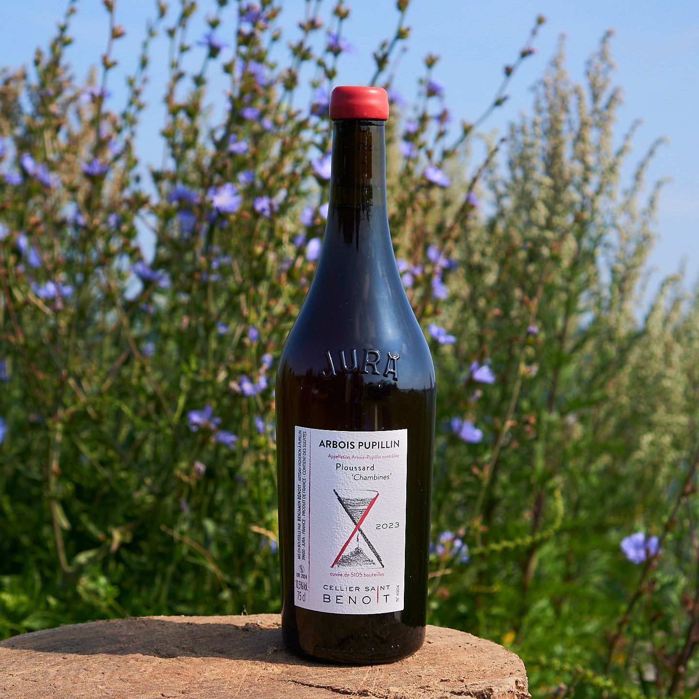 2023 Ploussard 'Chambines'