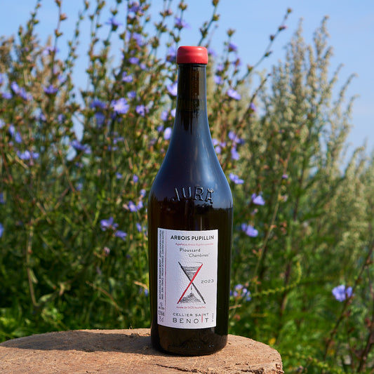 2023 Ploussard 'Chambines'