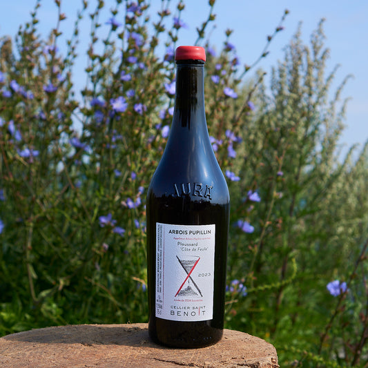 2023 Ploussard 'Côte de Feule'