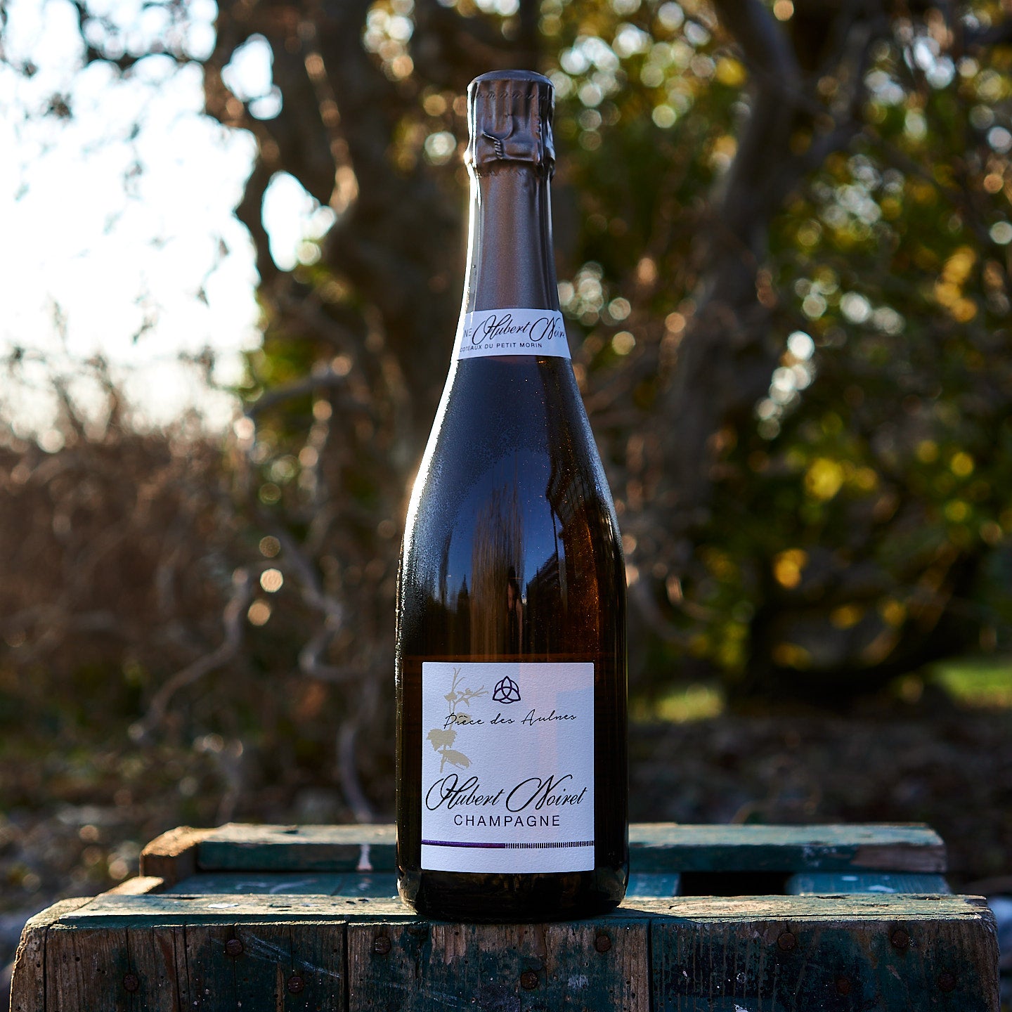 2023 Champagne 'Piece des Aulnes'