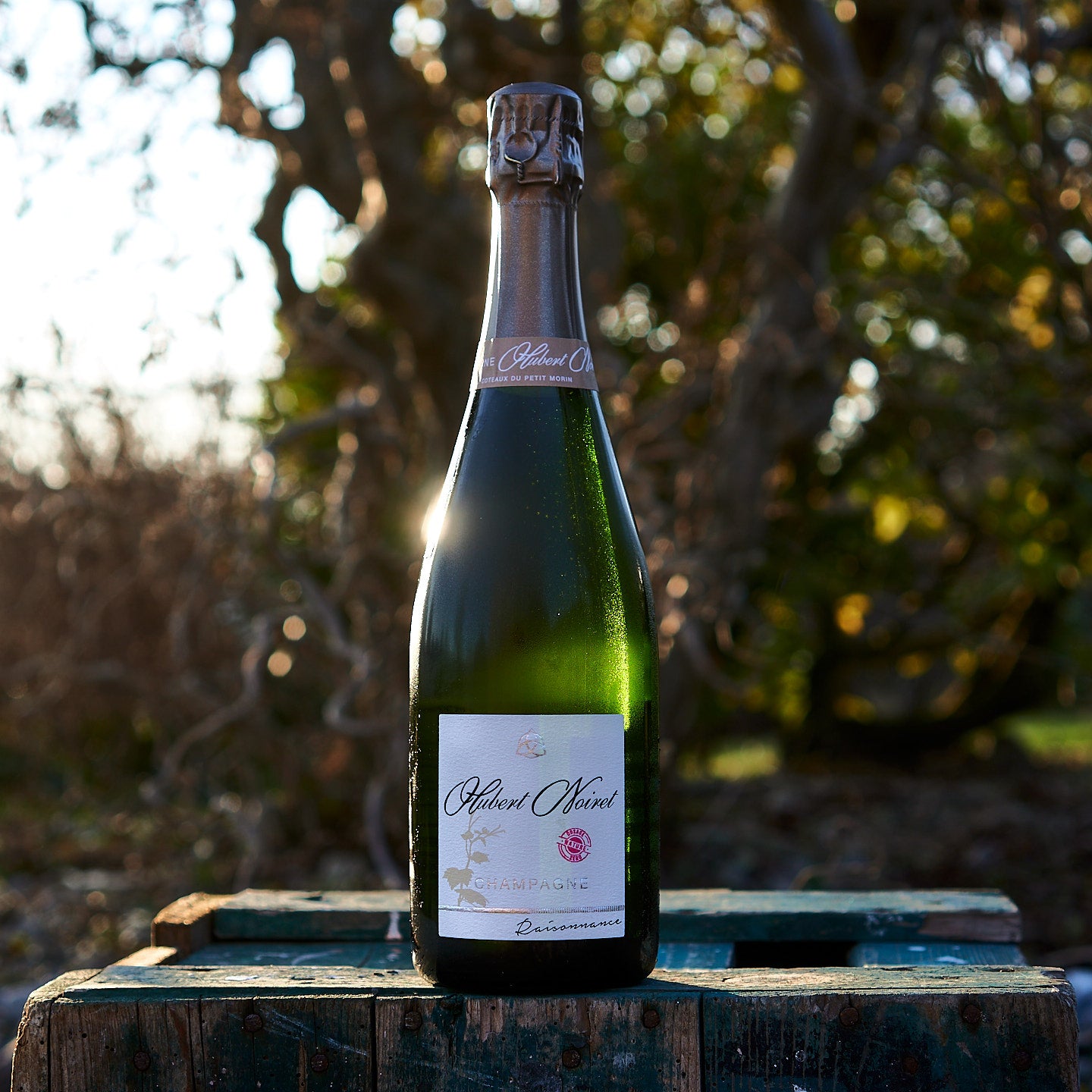 NV Champagne 'Raisonnance', Brut nature