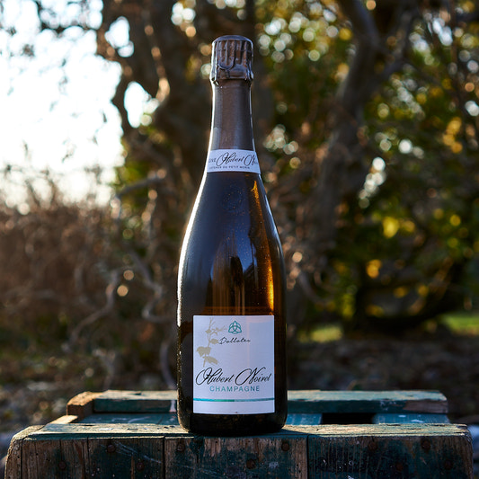 2023 Champagne 'Dollotes'