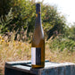2023 Riesling