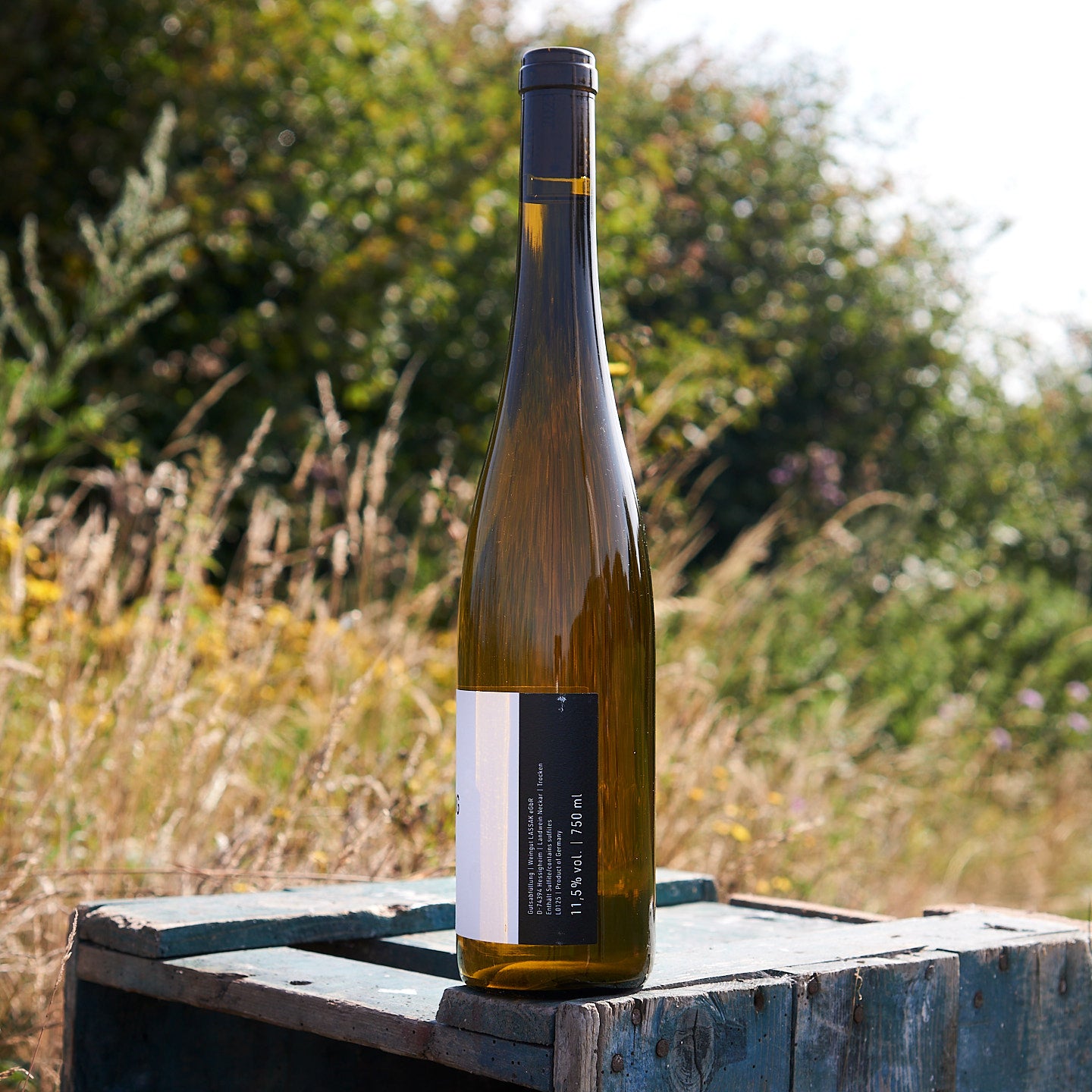 2023 Riesling