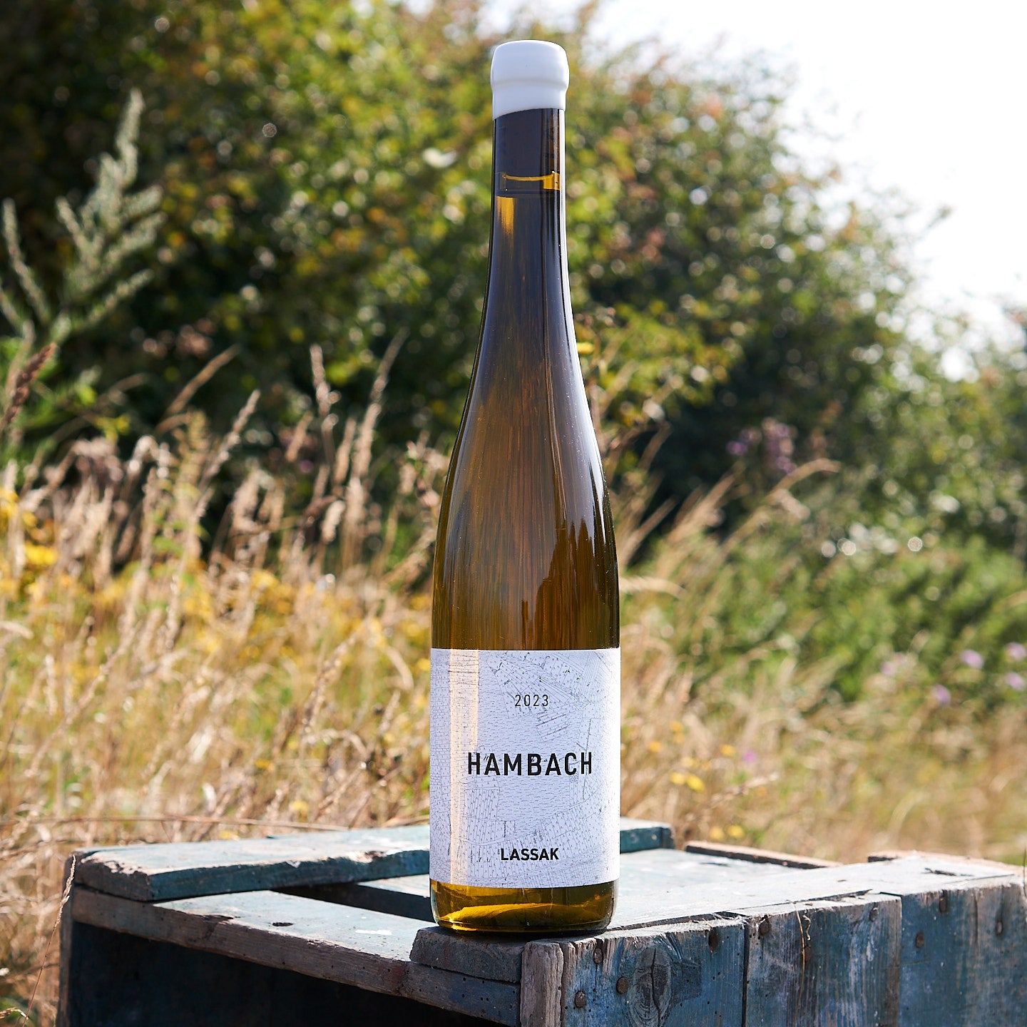 2023 Hambach Riesling