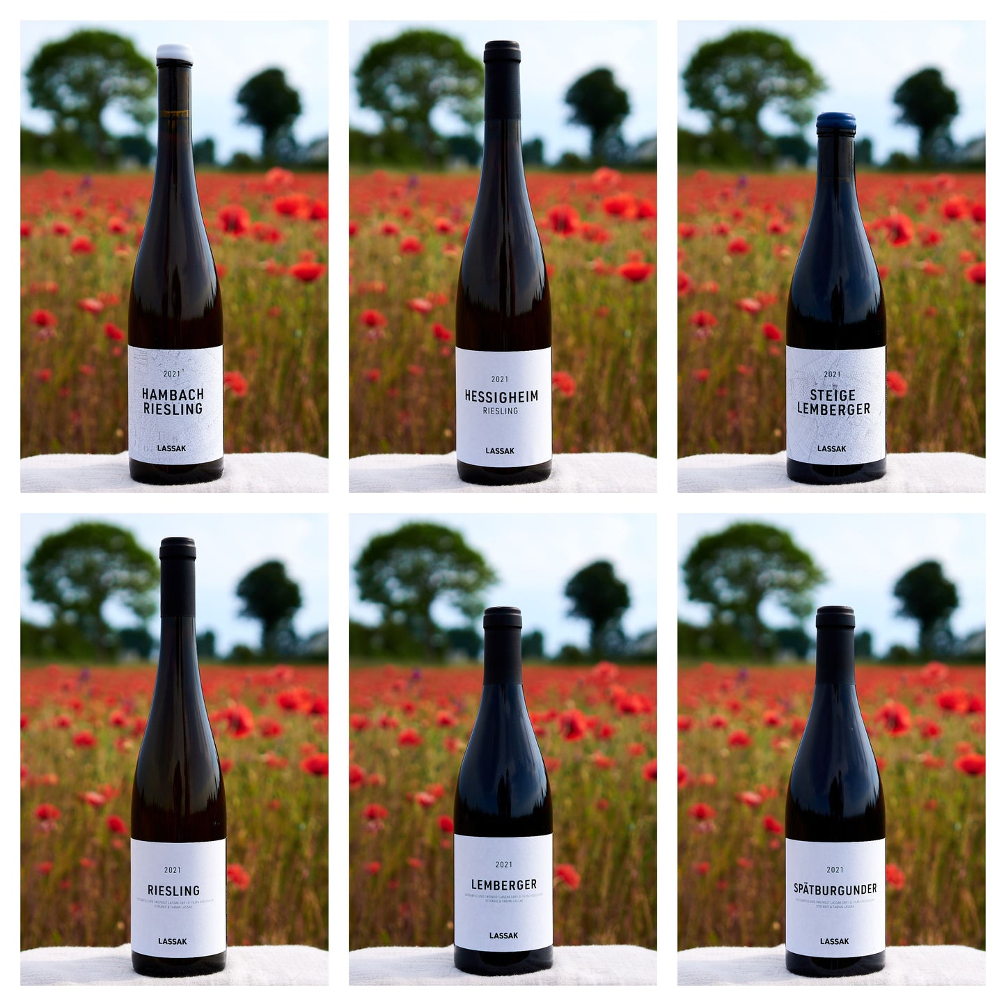 2021 - Weingut Lassak smagekasse
