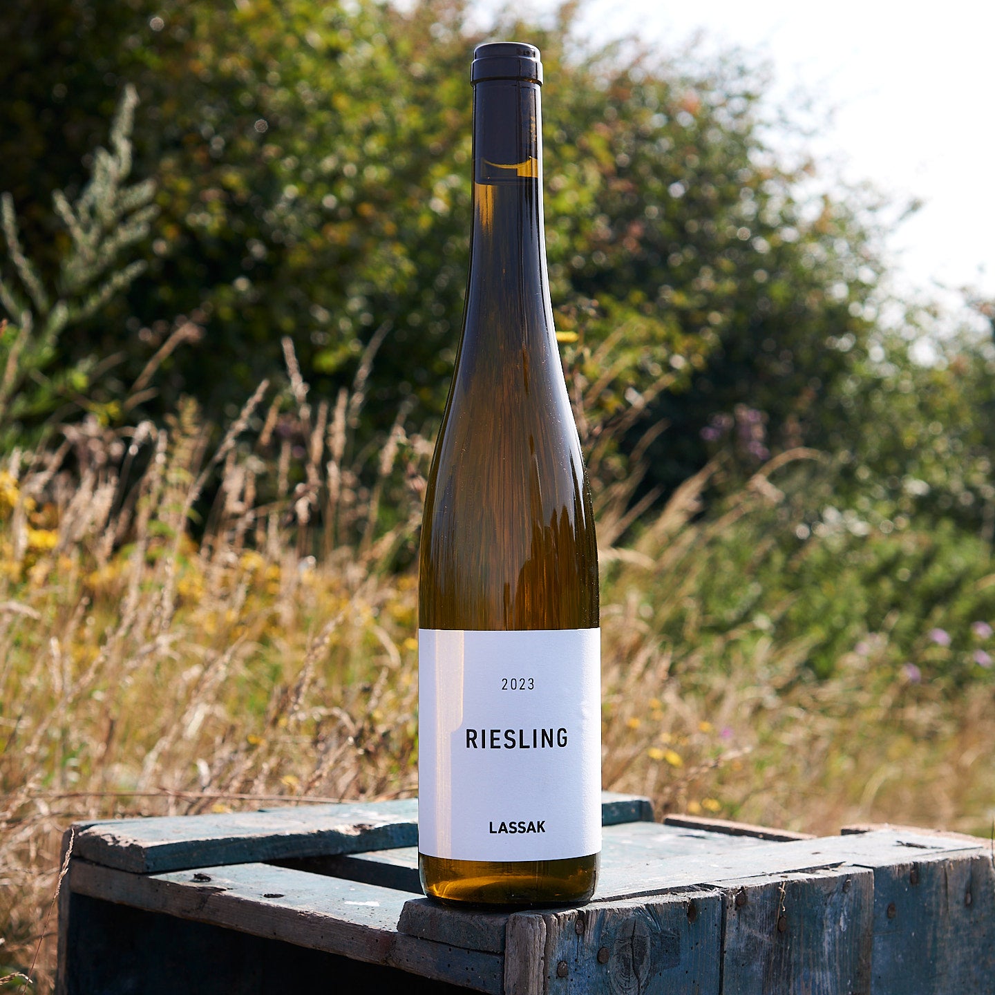 2023 Riesling