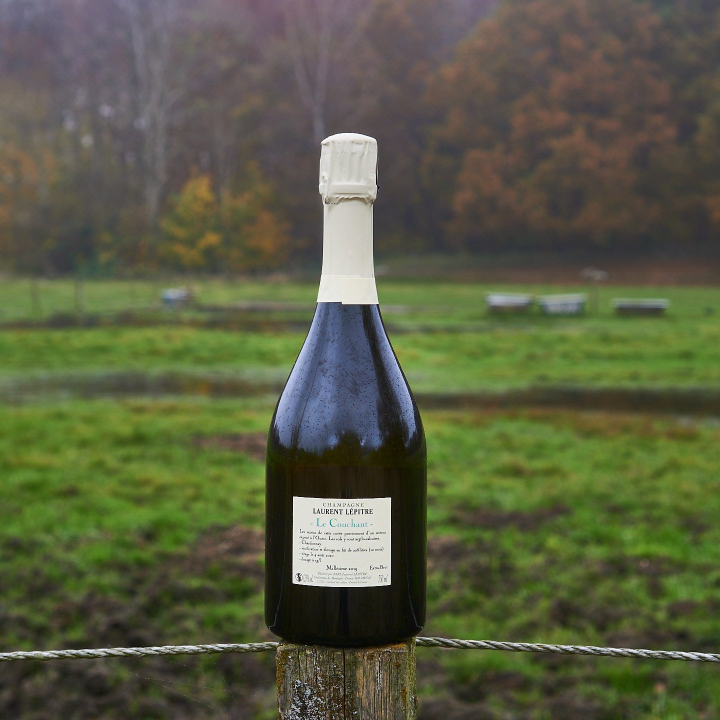 2019 'Le Couchant', Extra brut